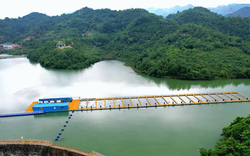 Circulating aquaculture system